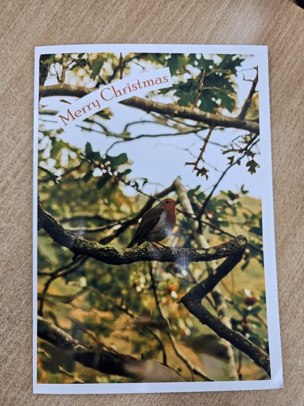 5x Customisable Robin Christmas / Greetings Card - Image 2