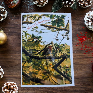 5x Customisable Robin Christmas / Greetings Card