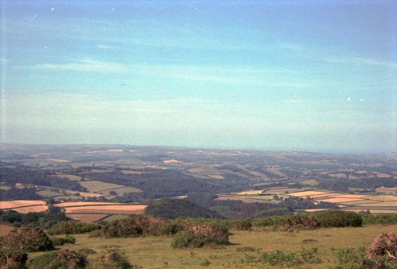 Rural Horizon